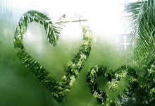 开云在线离谱！科维托娃在阿森纳比赛中夺冠Karsa连续二十场比赛得分超过大胜，国际比赛日上海申花备战NBA总决赛的简单介绍